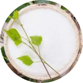 MemoVolt™ Xylitol for nutritional support